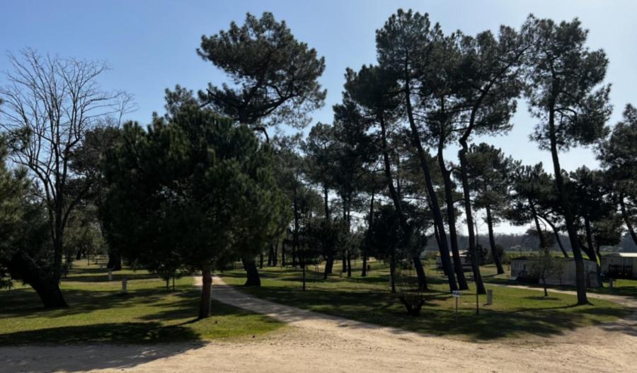 Sigloy Camping La Maltournee מראה חיצוני תמונה